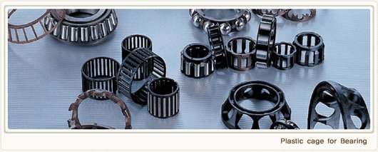 P/L Cage for Bearing